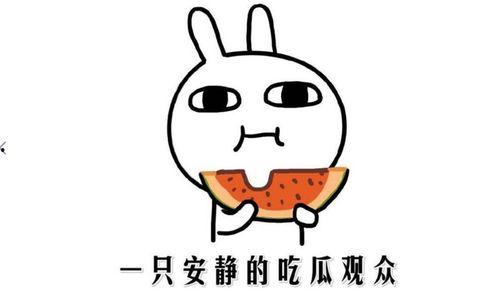 娱乐吃瓜酱知识怎么就进脑子里了,知识如何悄然植入脑海