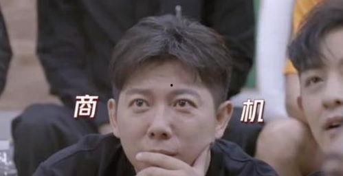 一线吃瓜(娱乐圈),揭秘明星幕后故事