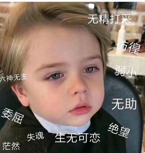 微信里的表情包吃瓜什么意思,揭秘微信表情包“吃瓜”背后的趣味与内涵