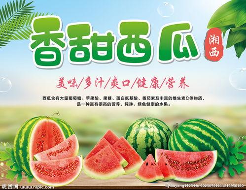 吃瓜娱乐封面设计图片大全