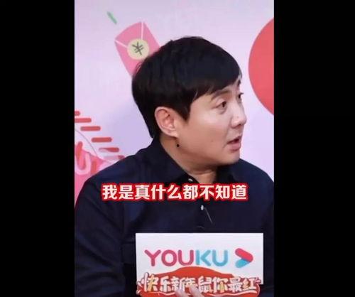 娱乐圈吃瓜bgm,揭秘幕后真相，跟随吃瓜bgm探寻明星隐私