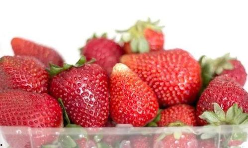 娱乐吃瓜酱草莓视频,娱乐吃瓜酱带你揭秘娱乐圈幕后故事