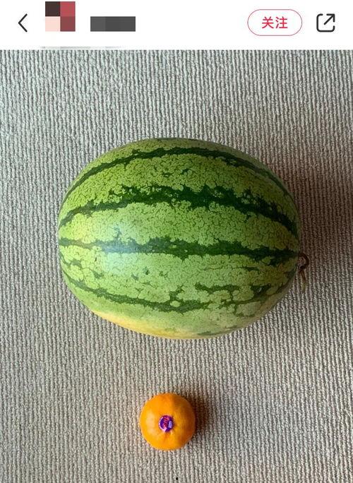 吃瓜视频最全观看,一网打尽热门事件幕后真相